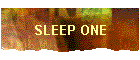 SLEEP ONE